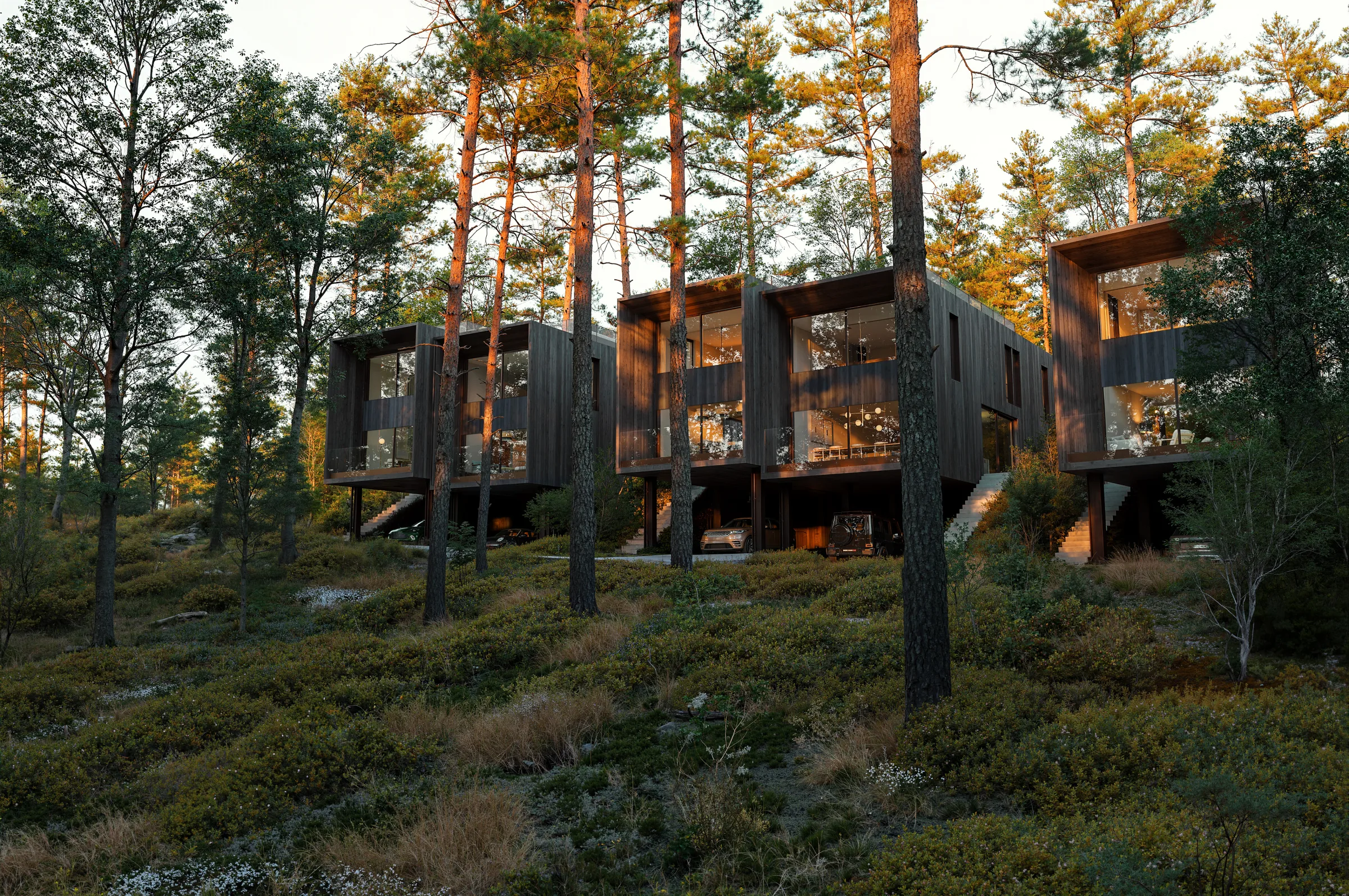 Tallviken — Noirwood